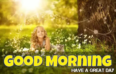 Best Good Morning Images With Flowers And Nature